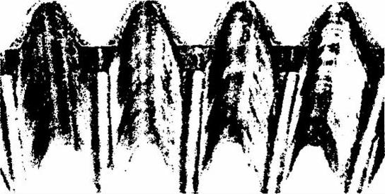 978-7-111-50759-8-Chapter07-1.jpg