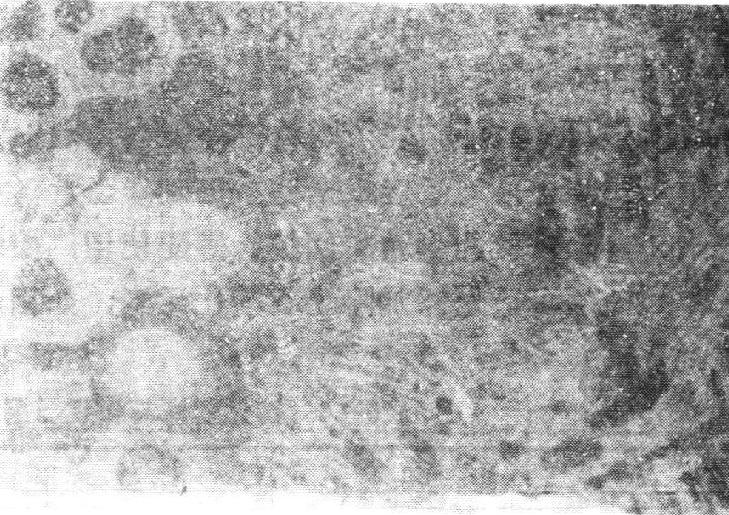 978-7-111-56253-5-Chapter06-35.jpg