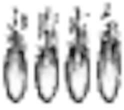 pagenumber_ebook=139,pagenumber_book=132