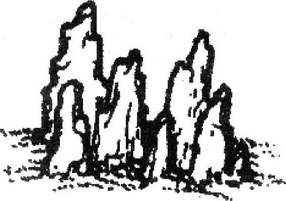 978-7-111-50545-7-Chapter02-36.jpg