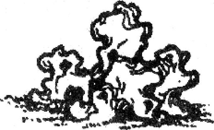 978-7-111-50545-7-Chapter02-31.jpg