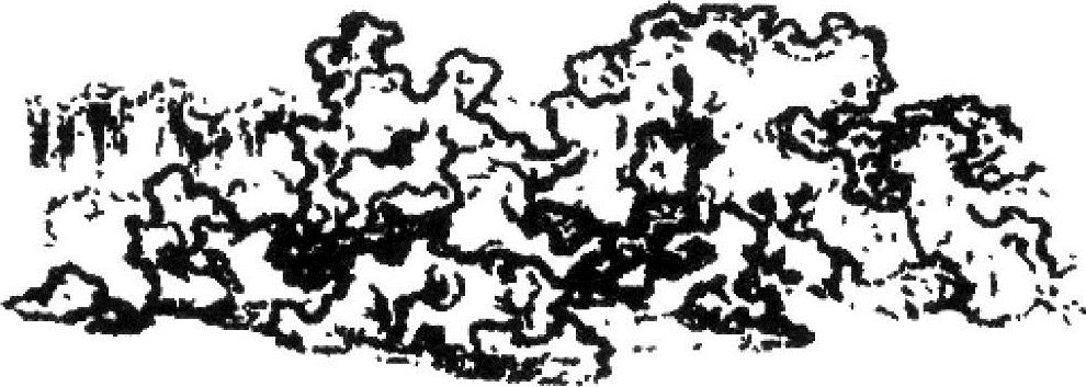 978-7-111-50545-7-Chapter02-42.jpg