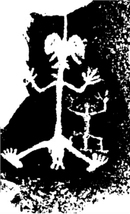 img253