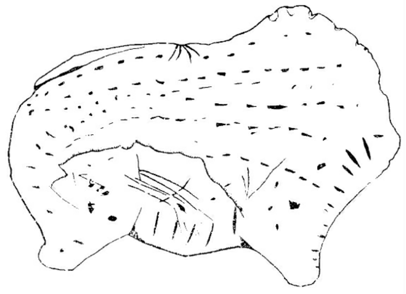 img25