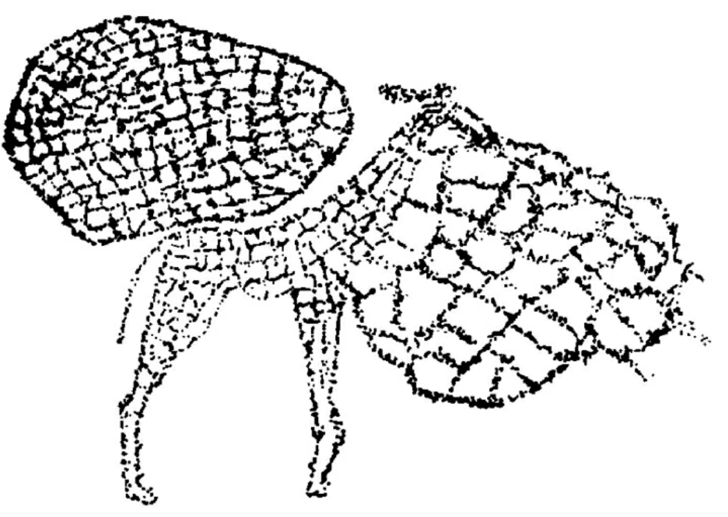 img23