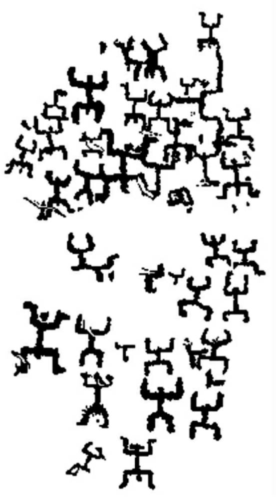 img244