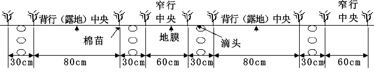 img9
