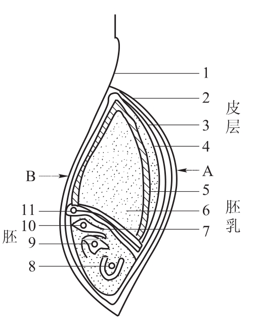 img22