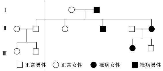 img6