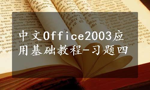 中文Office2003应用基础教程-习题四
