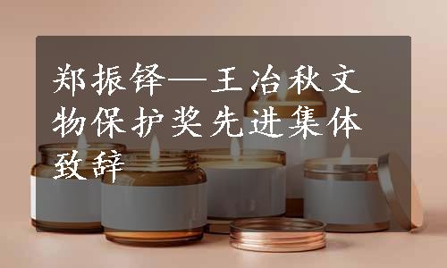 郑振铎—王冶秋文物保护奖先进集体致辞